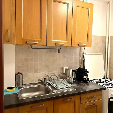 Urban Nest Victoriei - 1br 布加勒斯特
