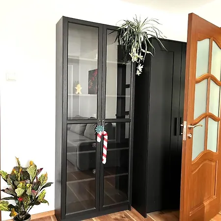 Urban Nest Victoriei - 1br 公寓