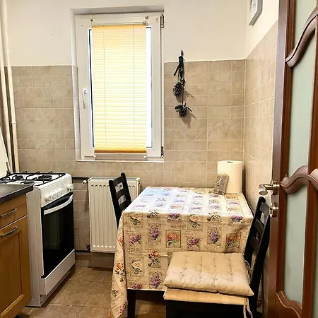Urban Nest Victoriei - 1br Bukurešť
