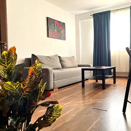 Apartament Urban Nest Victoriei - 1br *